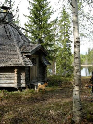 Фото номера Двухместный номер с 1 кроватью, вид на озеро Гостевой дом Guesthouse Kumpunen г. Petäjävesi 21