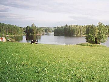 Фото номера Дом для отпуска Дома для отпуска Holiday Home Mäntykumpu г. Petäjävesi 26