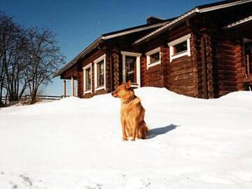 Фото номера Дом для отпуска Дома для отпуска Holiday Home Pihlajakumpu г. Petäjävesi 28