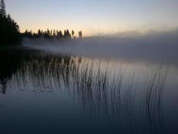 Фото номера Дом для отпуска Дома для отпуска Holiday Home Petäjälahti г. Petäjävesi 45